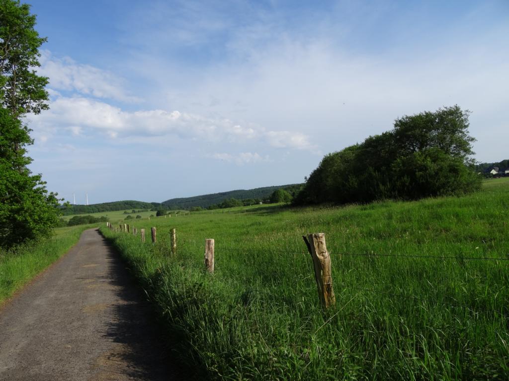 Dreifelder Weiher Sonntagswandern