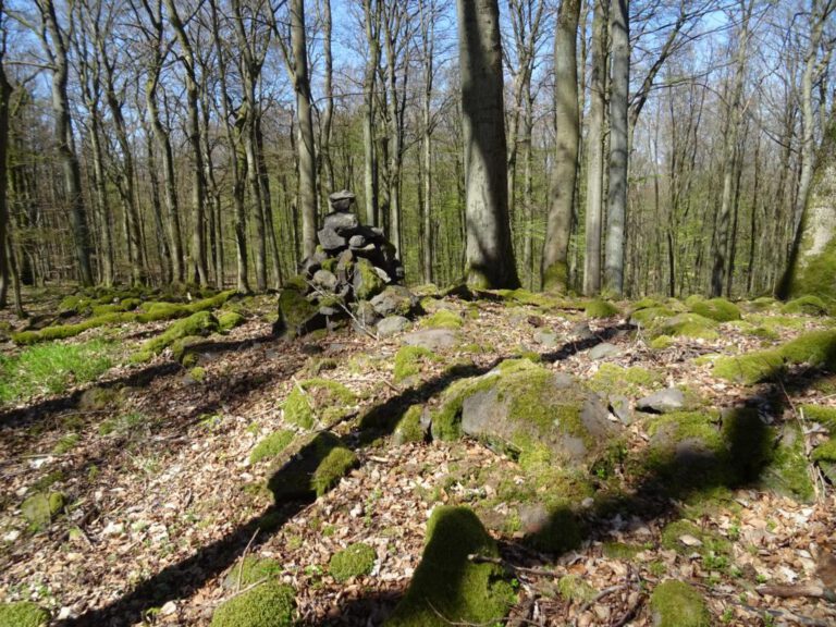 Ringwall Höhburg Sonntagswandern